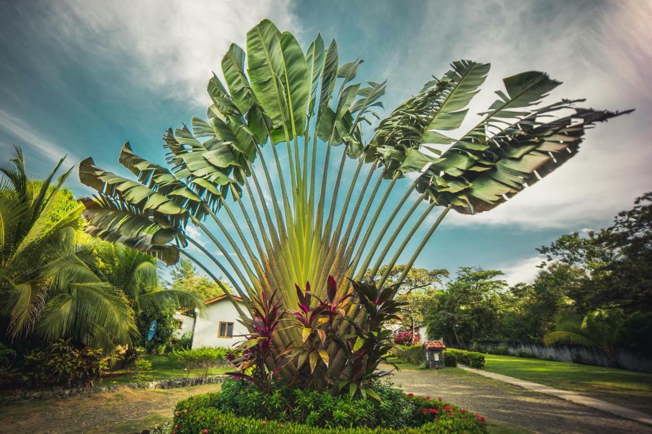 Hotel Santa Catalina Panama Экстерьер фото